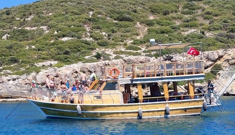 Custom Built 39 | Fuente