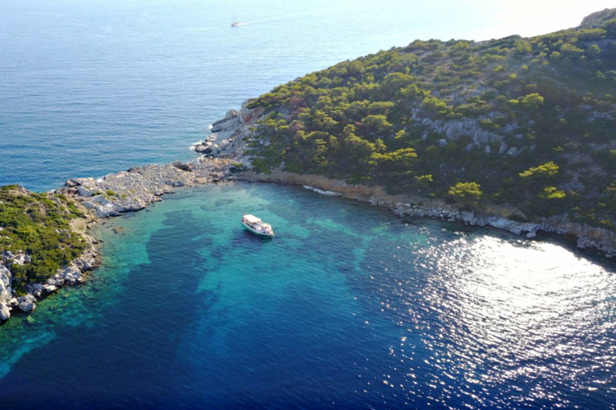 Custom Built 65 | Fantazi