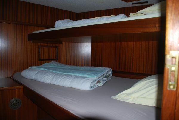 Linssen Dutch Sturdy 320 | Mascot