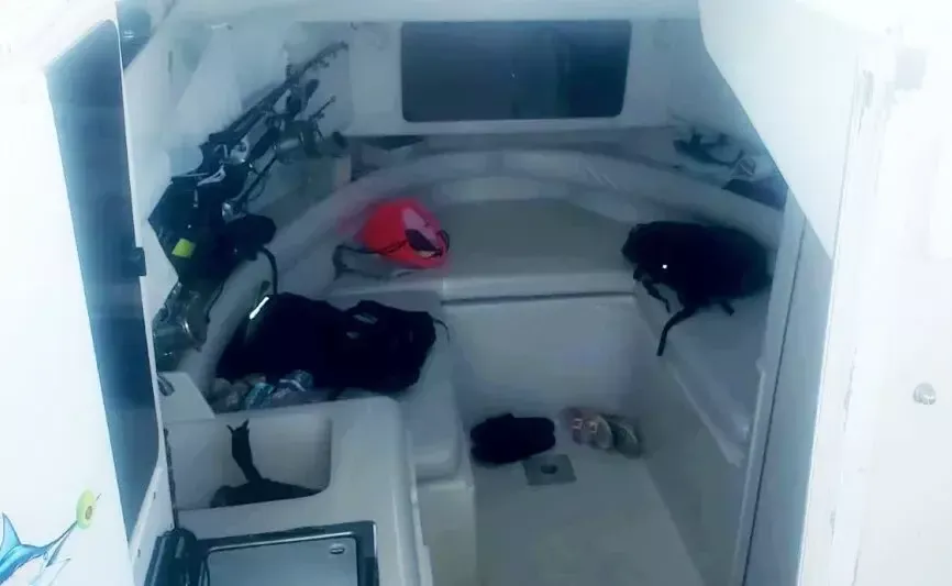 Pro Line 2950 | Cocktails Fish 2