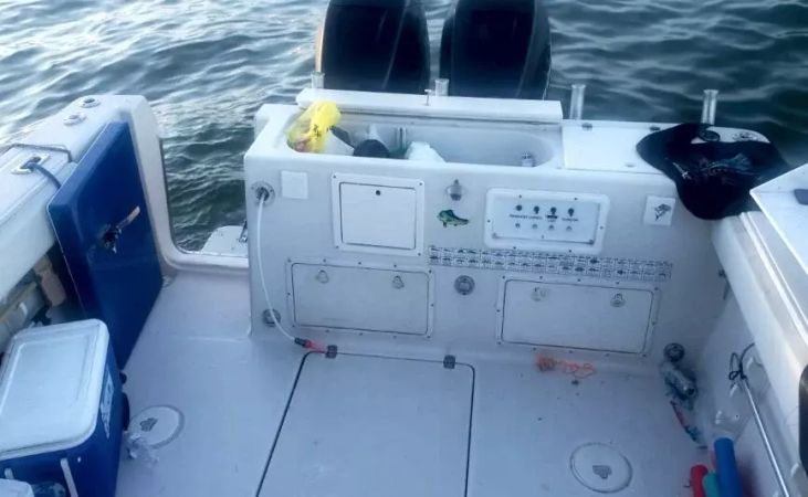 Pro Line 2950 | Cocktails Fish 2