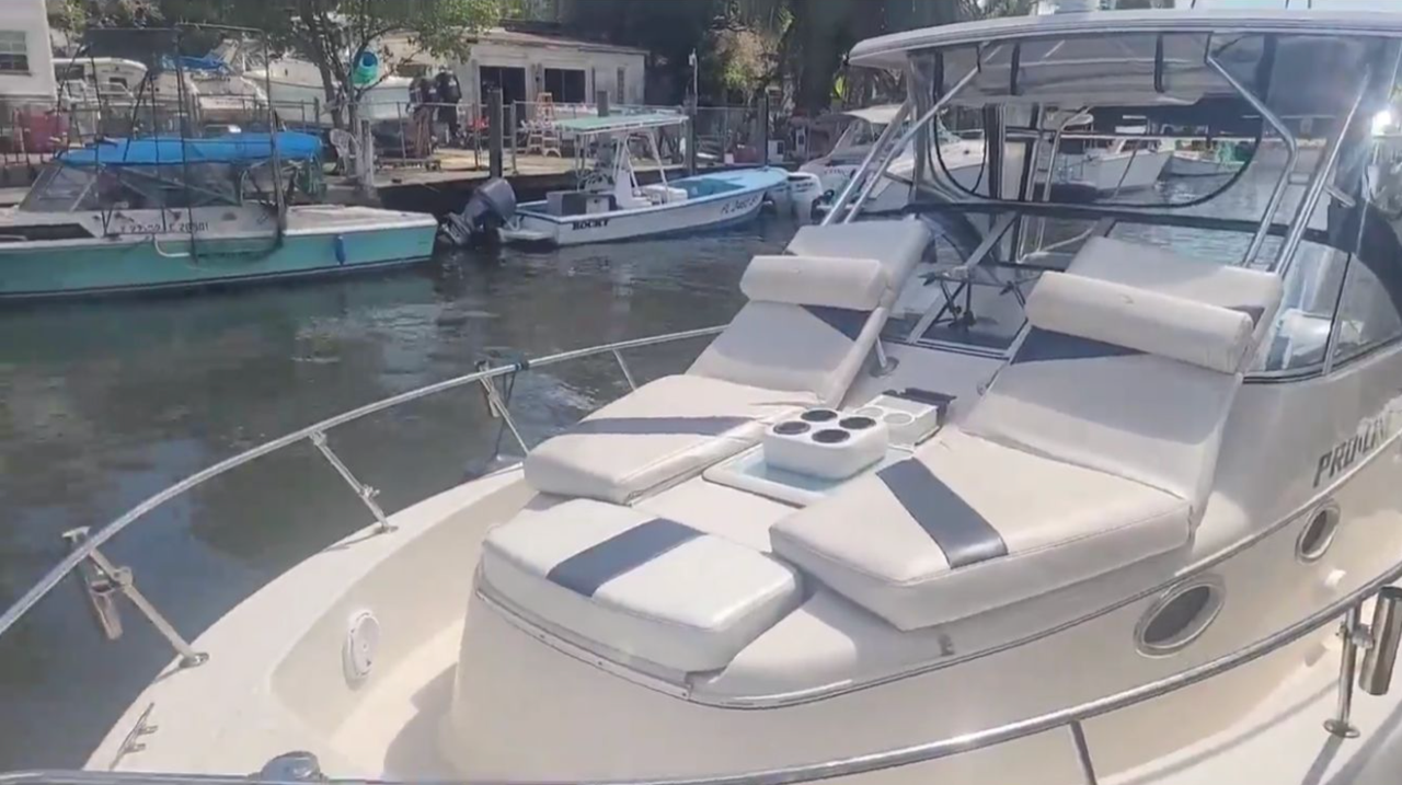 Pro Line 2950 | Cocktails Fish 2