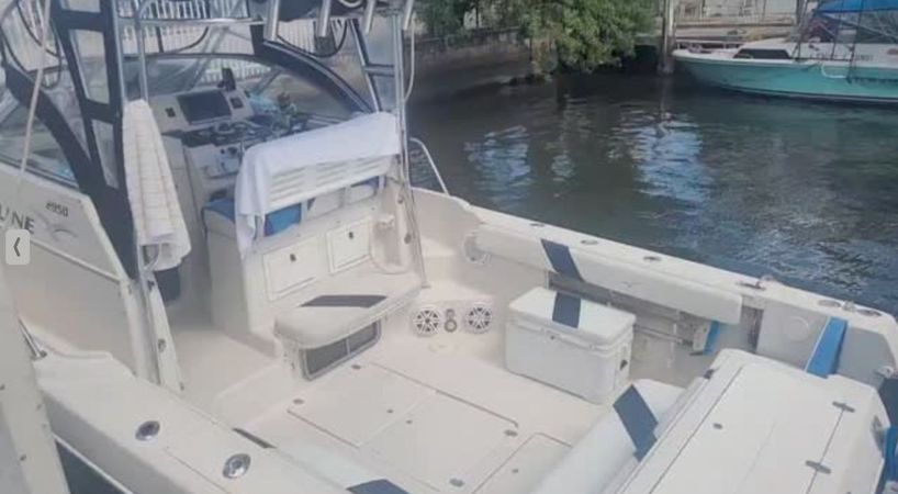 Pro Line 2950 | Cocktails Fish 2