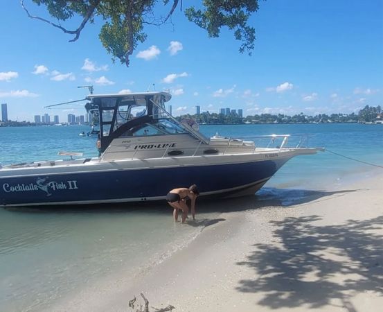 Pro Line 2950 | Cocktails Fish 2