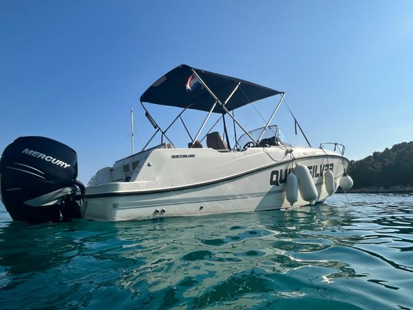 Quicksilver 755 | 17