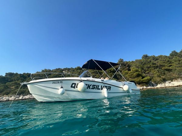 Quicksilver 755 | 17