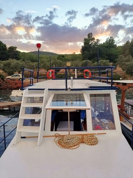 Custom Built 36 | Patron