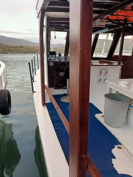 Custom Built 36 | Patron