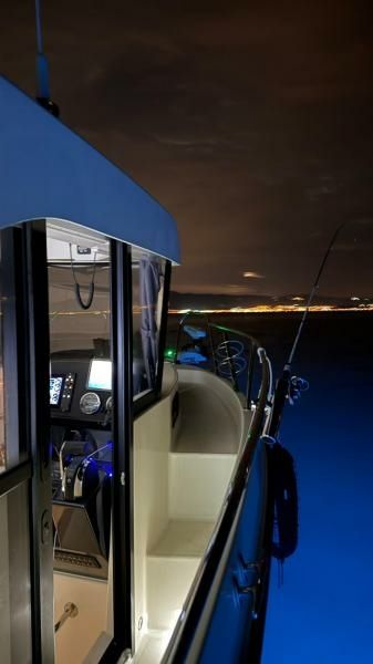 Quicksilver 805 | Terapia