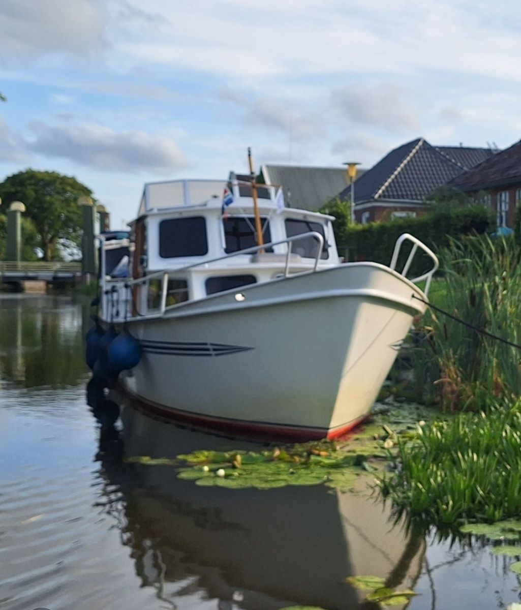 Pedro 1000 | Break Free