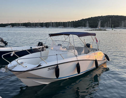 Quicksilver 675 | 15