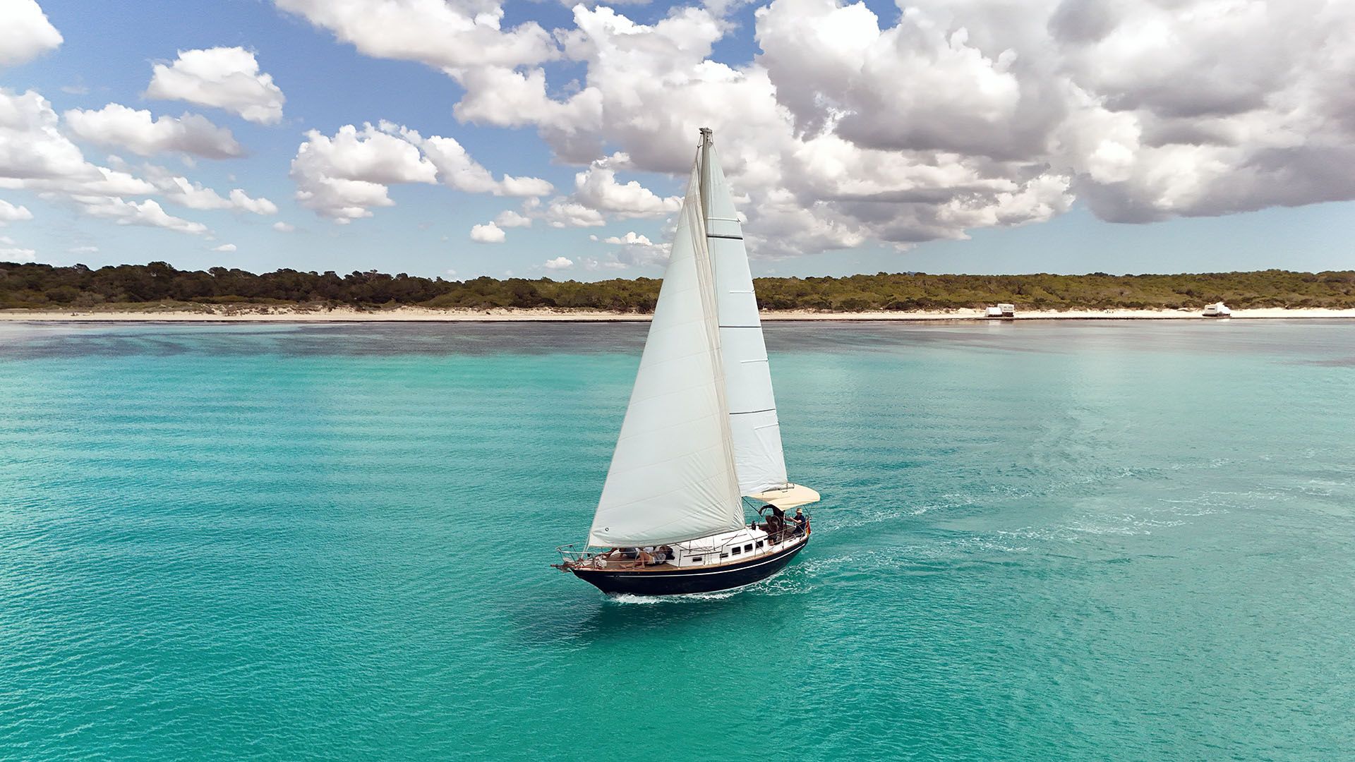 Custom Built 30 | Arabian Horse