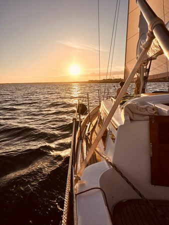 Custom Built 30 | Arabian Horse