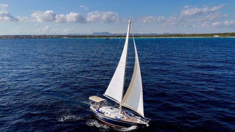 Custom Built 30 | Arabian Horse