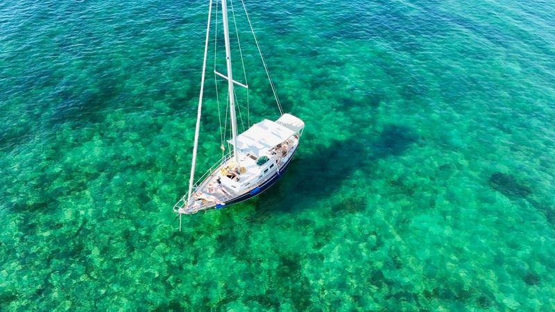 Custom Built 30 | Arabian Horse