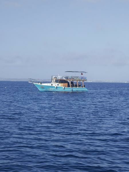 Custom Built 43 | Firtina 19