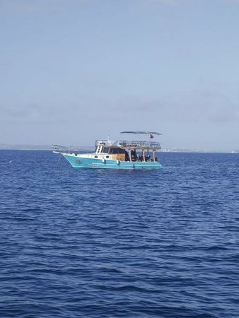 Custom Built 43 | Firtina 19