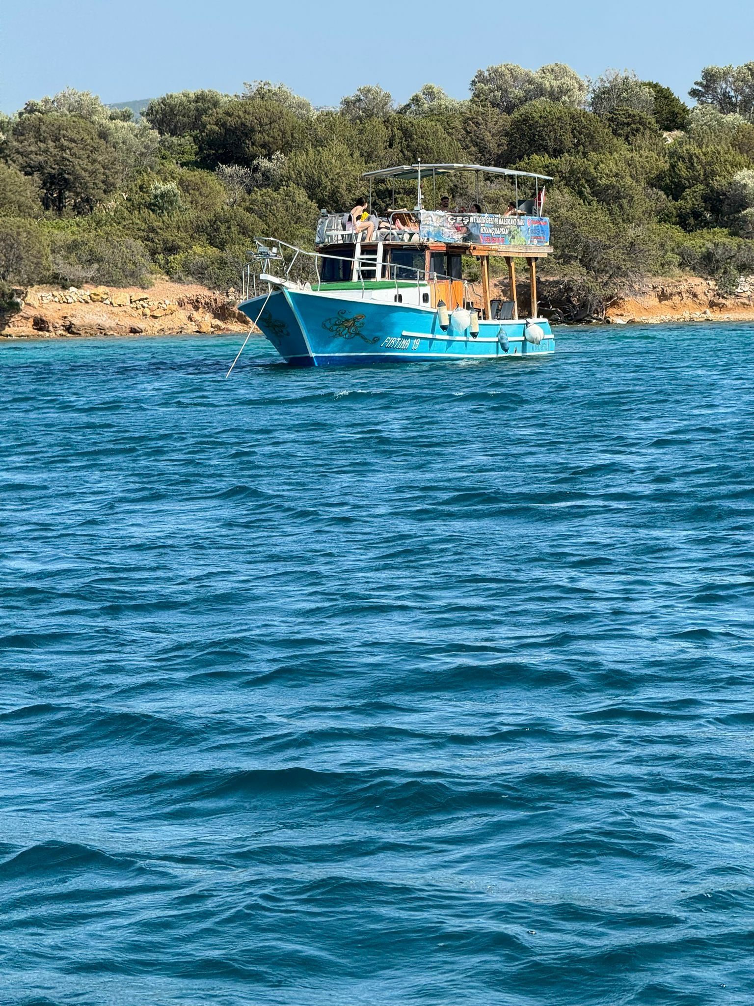 Custom Built 43 | Firtina 19
