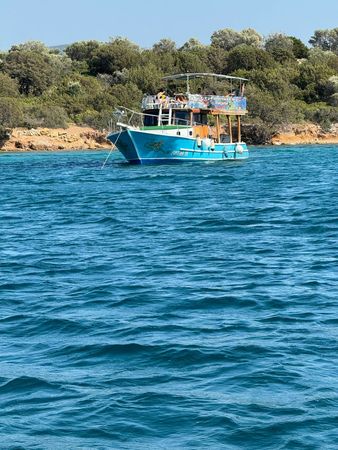 Custom Built 43 | Firtina 19