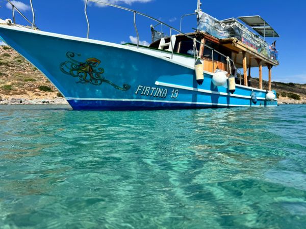 Custom Built 43 | Firtina 19