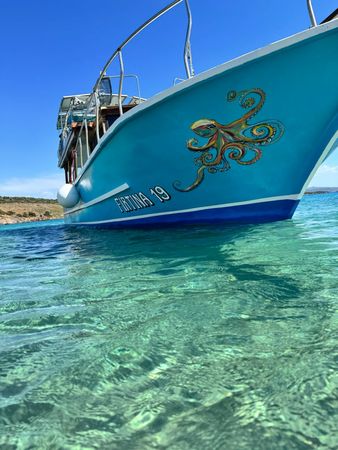 Custom Built 43 | Firtina 19