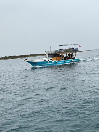 Custom Built 43 | Firtina 19