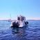 Beneteau Barracuda 8 | Whisper