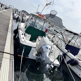 Bayliner Trophy 2302 | Trophy