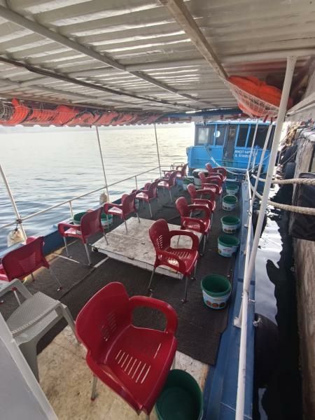 Custom Built 32 | Gemlik Korfez