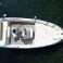 Bellingardo Sea Ghost 550 | Annina
