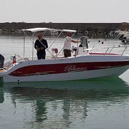 Blumax 19 Pro | Nemo