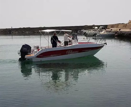 Blumax 19 Pro | Nemo