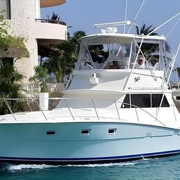 Viking 40 | Berzerker