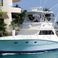 Viking 40 | Berzerker