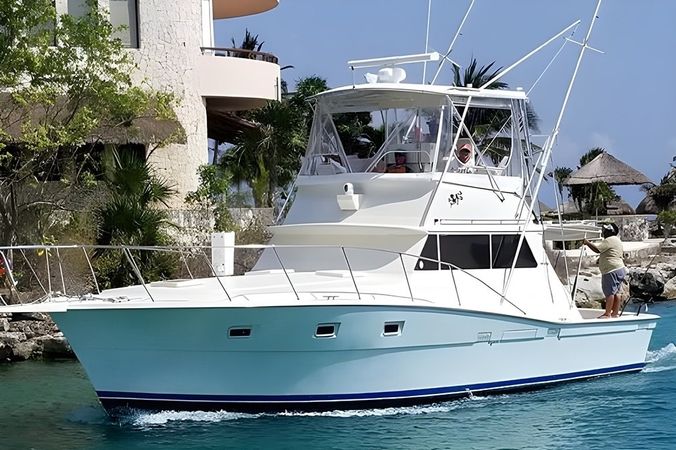 Viking 40 | Berzerker