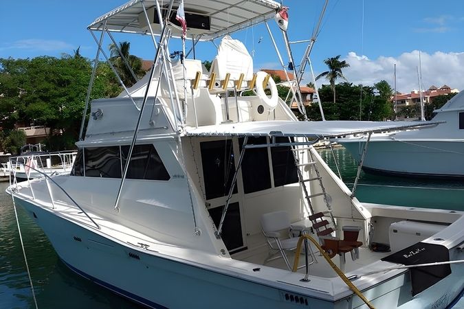 Viking 40 | Berzerker