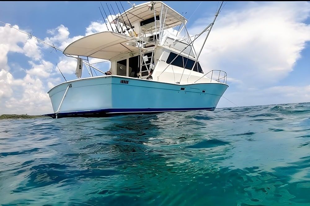 Viking 40 | Berzerker