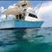 Viking 40 | Berzerker