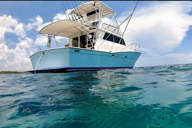 Viking 40 | Berzerker