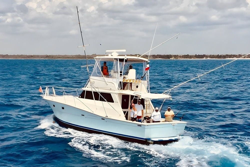 Viking 40 | Berzerker
