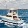 Viking 40 | Berzerker