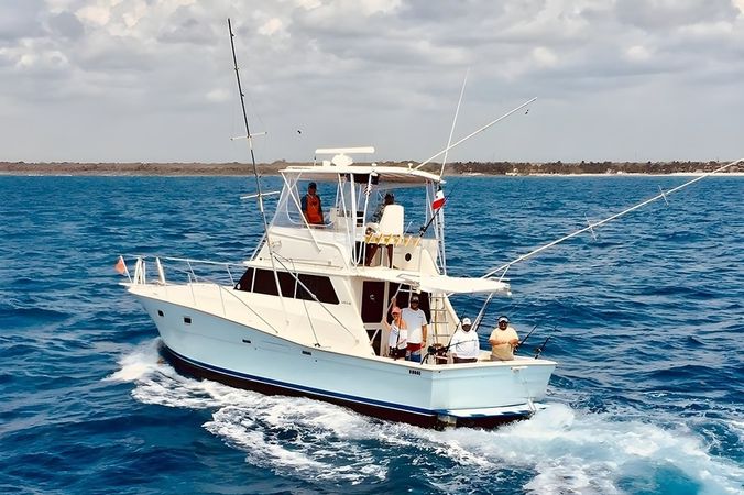 Viking 40 | Berzerker