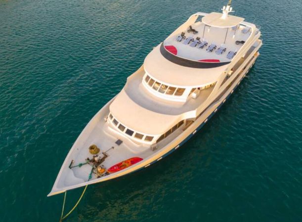 Custom Built 141 | Searose 2