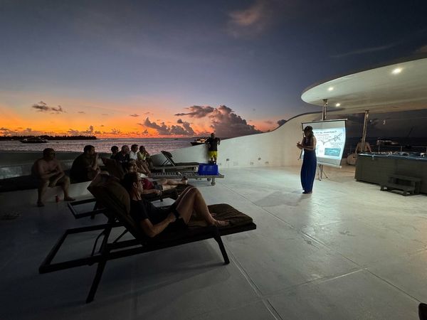 Custom Built 141 | Searose 2