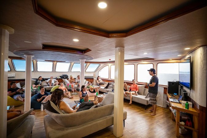 Custom Built 141 | Searose 2