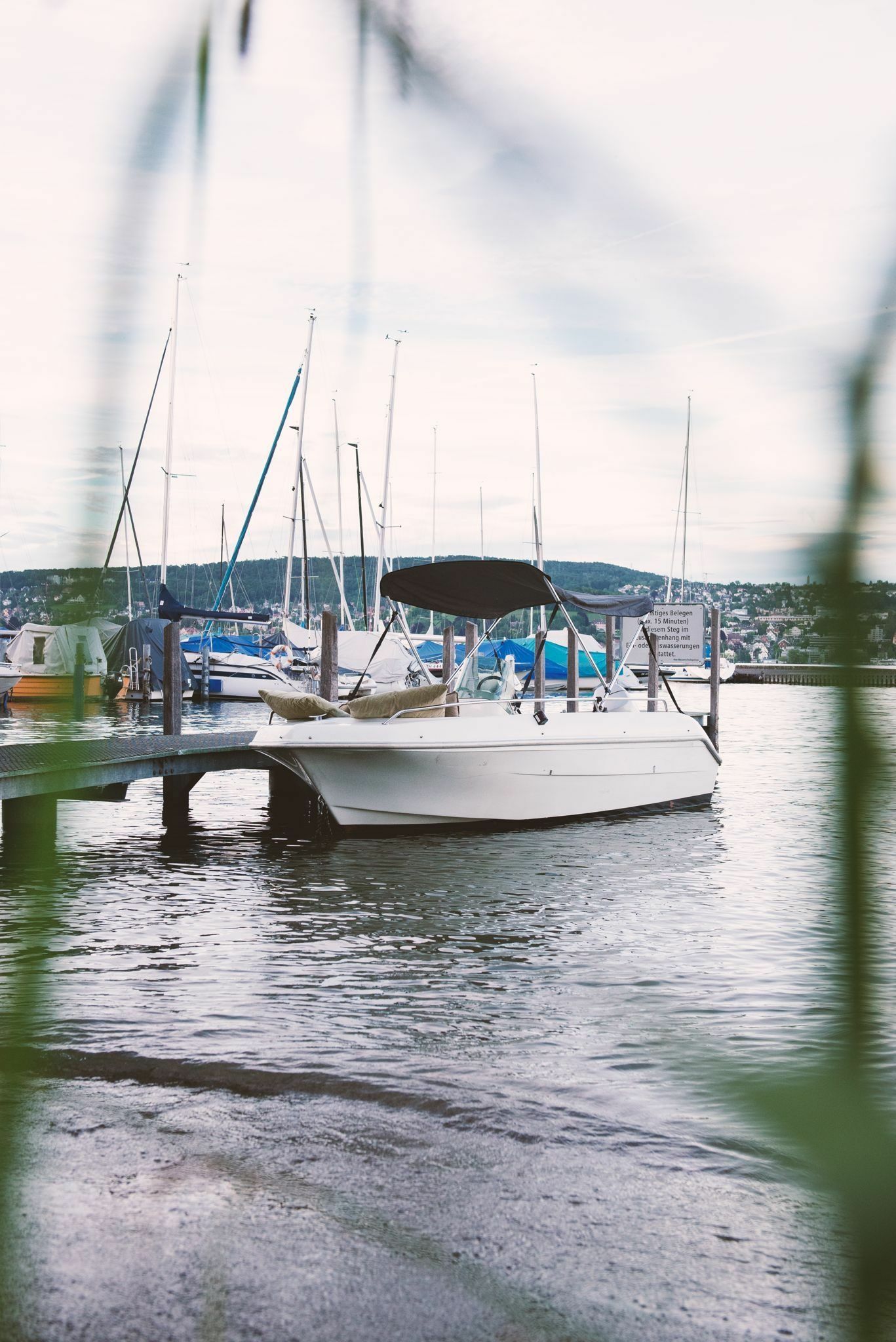 Quicksilver 435 | 95