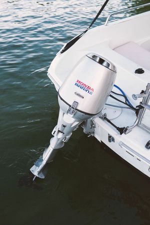 Quicksilver 435 | 95