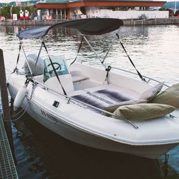 Quicksilver 435 | 95