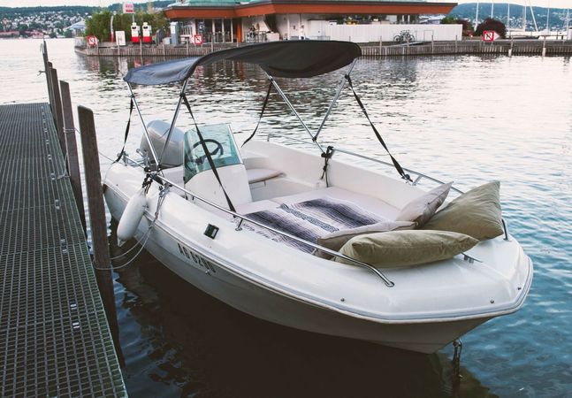 Quicksilver 435 | 95