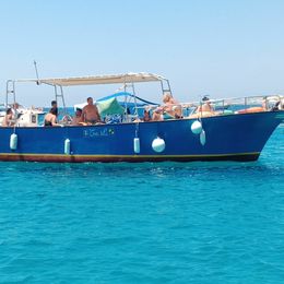 Custom Built 33 | Toti L